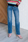 Anita Tummy Control Vintage Straight Jeans