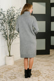 Glenn Turtleneck Dress in Grey