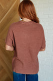 Alice Dolman Sleeve Knit Top in Coffee