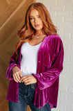 Velvet Balloon Sleeve Top